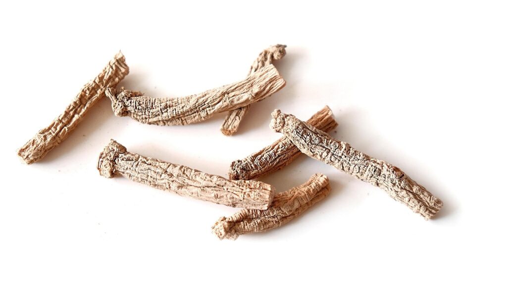 Descubre los beneficios de sweed dreams cbd tarragona para tu bienestar