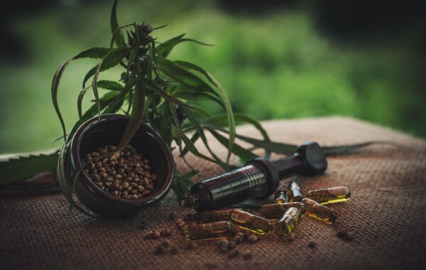 Beneficios de la infusion cannabidiol para mejorar tu bienestar diario