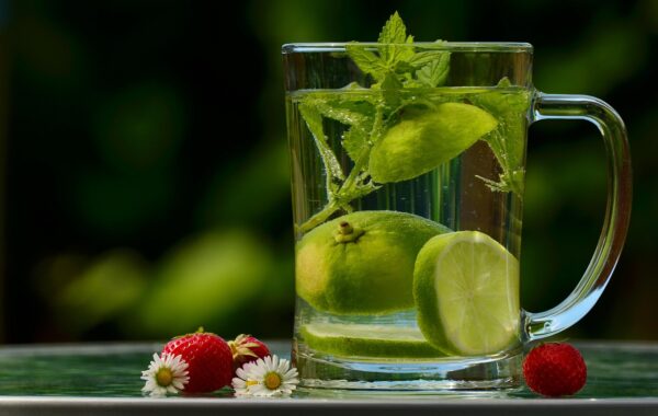 Opiniones sobre el aceite cbd: beneficios y consideraciones